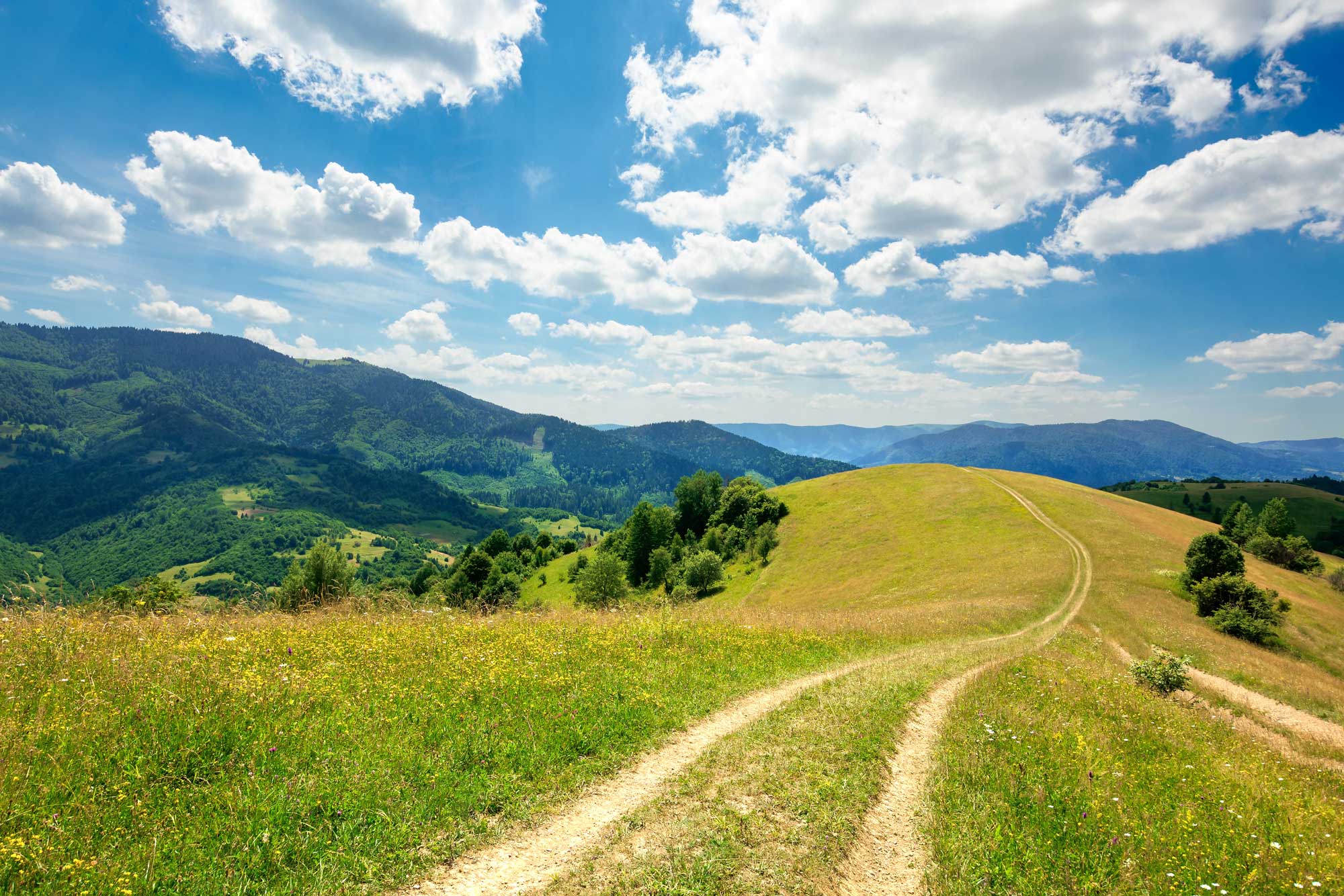 Wide green field with a winding trail running through the landscape