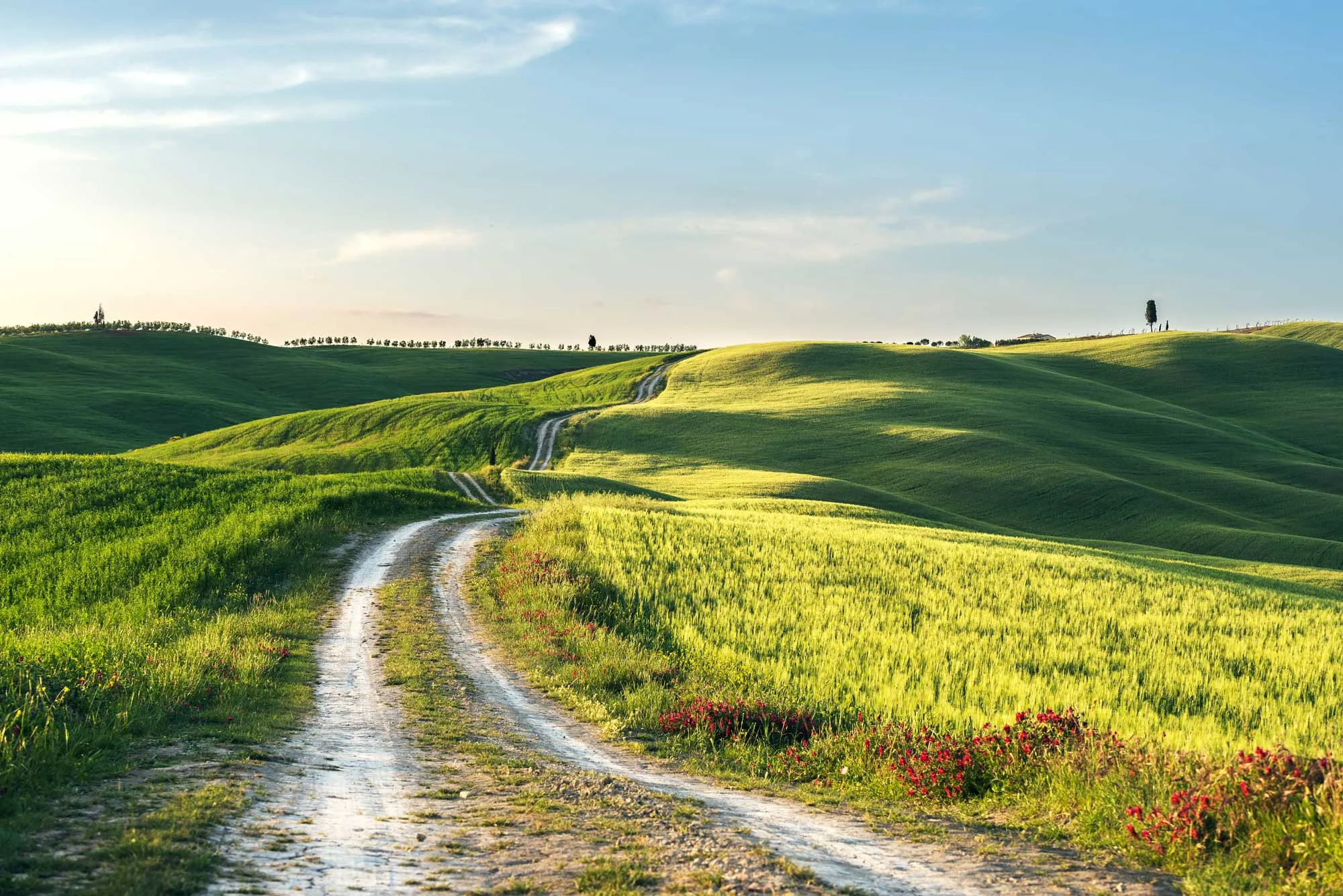 Wide green field with a winding road running through the landscape